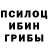 Псилоцибиновые грибы прущие грибы Dunya Said
