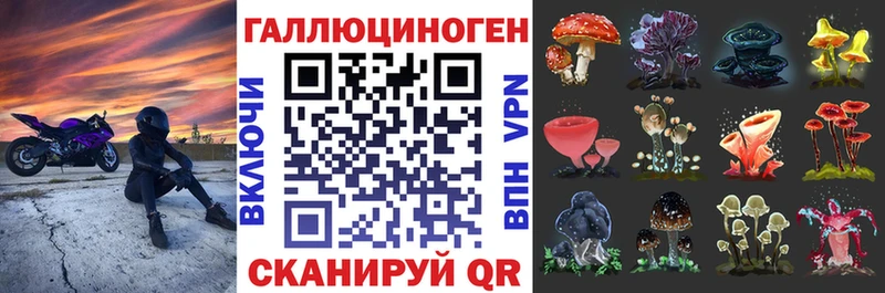 хочу   Гдов  Галлюциногенные грибы мухоморы 